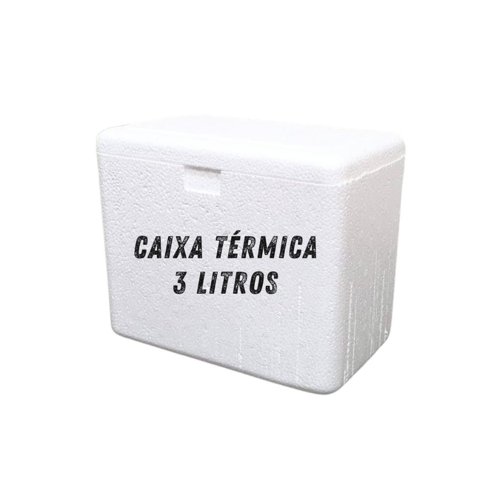 Caixa Térmica de Isopor 3 litros Medicamentos, Alimentos e Bebidas 22,70 x 18,60 x 13,70 cm