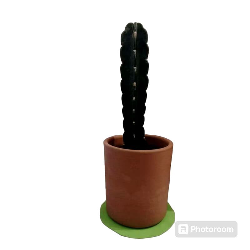 Cacto em vaso cilíndrico marrom com fundo verde