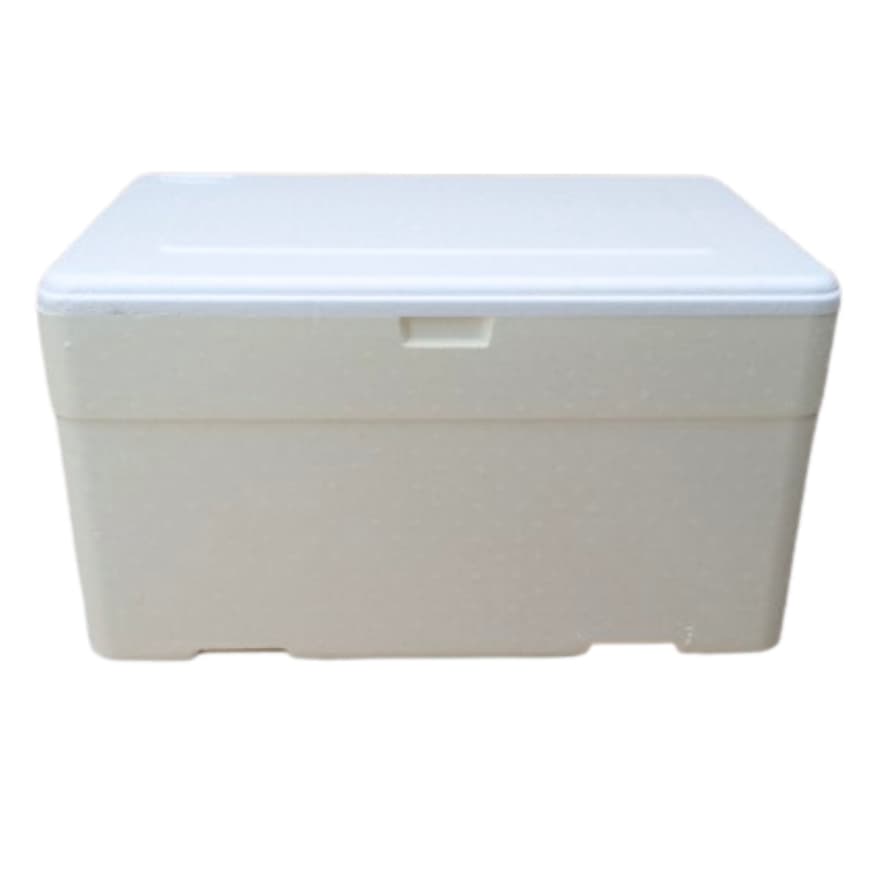 Caixa Térmica Grande Isopor 60 Litros C/Dreno Ótimo P/Refrigerante Alimentos Gelo Bebidas