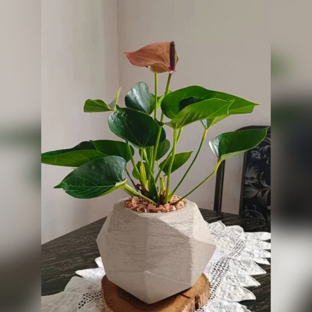 Vaso decorativo geométrico em forma de esfera cinza com planta verde e flor vermelha