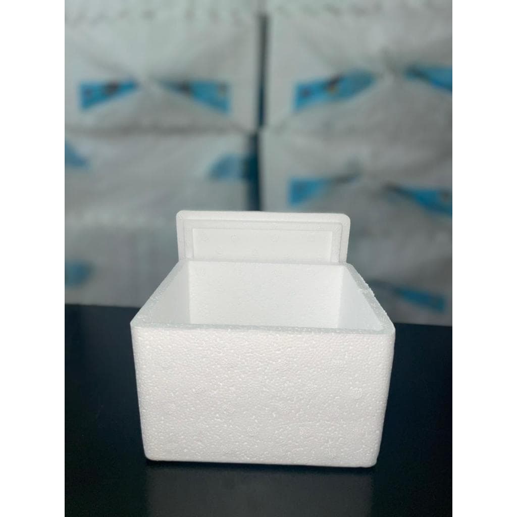 CAIXA EPS 1,5 LITROS INJEÇÕES E ALIMENTOS - ARMAZENAMENTO TÉRMICO - CAIXA DE ISOPOR - USO DOMÉSTICO E PROFISSIONAL