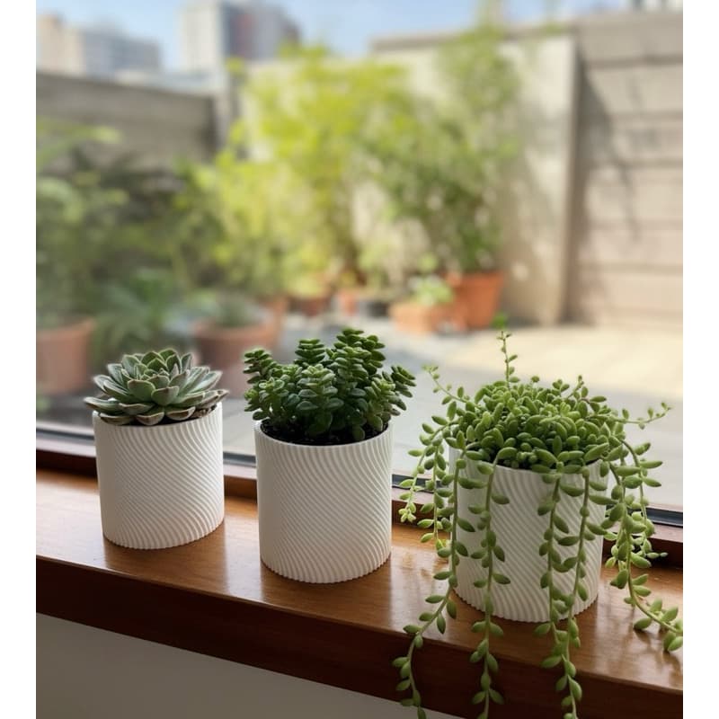Trio de vasos decorativos brancos com suculentas e cactos em parapeito de janela