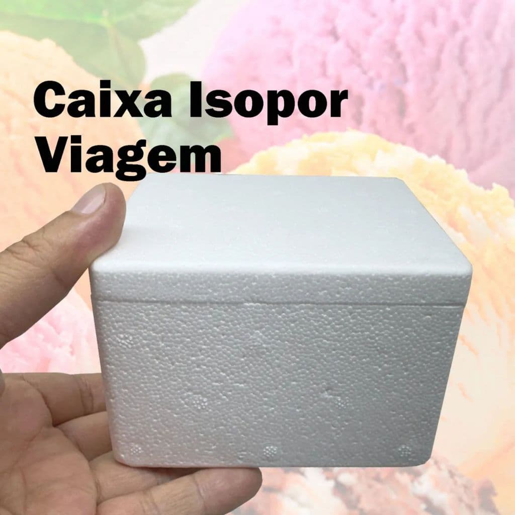 Mini Caixa Térmica Isopor 250ml com Tampa  Ideal para Medicamentos, Ampolas e Sorvetes 2 UNID