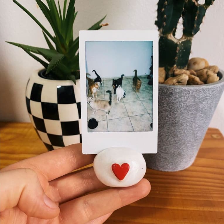 Porta-retrato Instax Polaroid com coração vermelho e imagem de gatos em miniatura