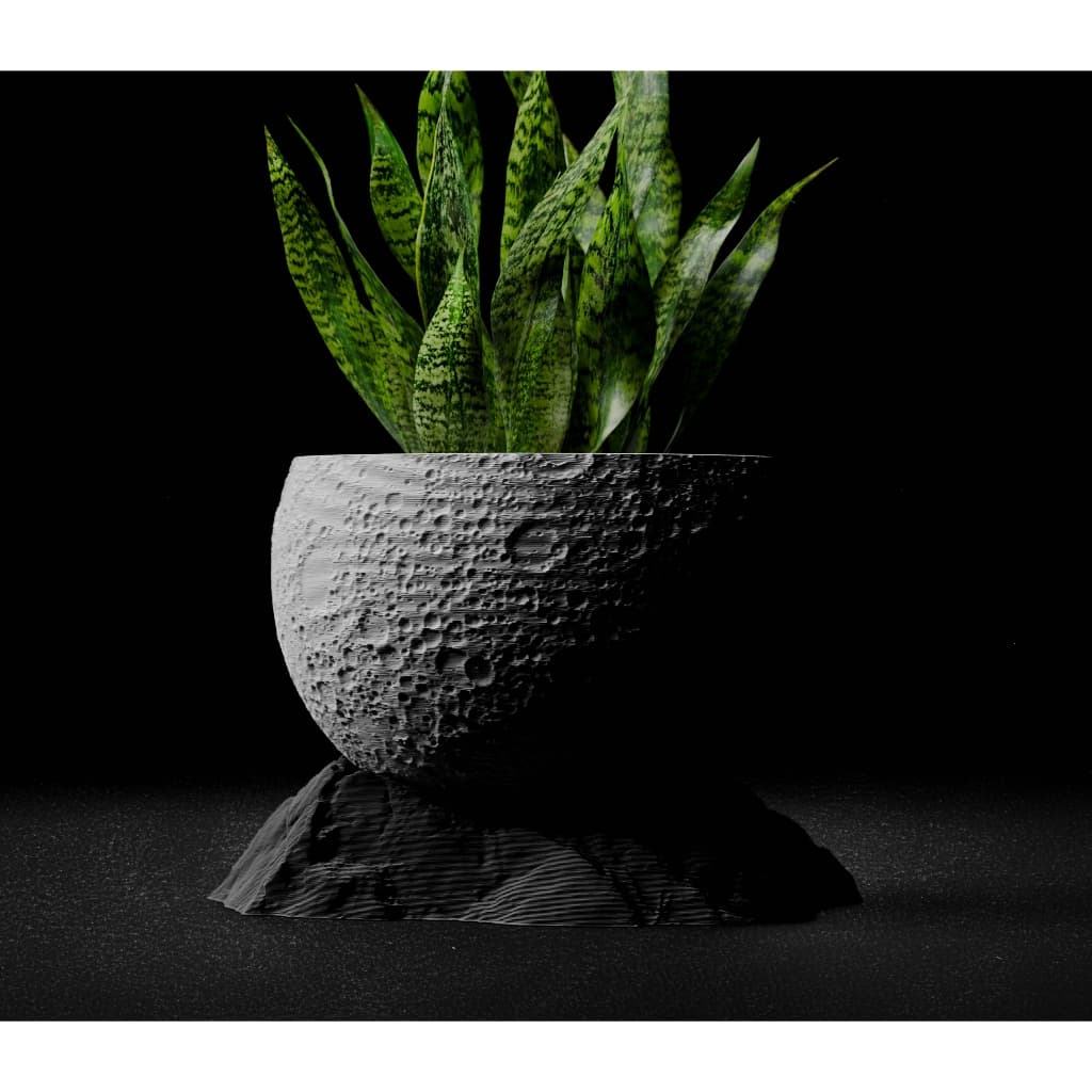Cachepot Lua com planta suculenta, fundo preto