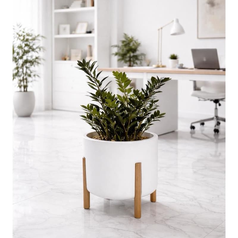 Vaso para planta cilíndrico branco com pés de madeira, tamanho 37x33 cm, com planta verde em ambiente de escritório.