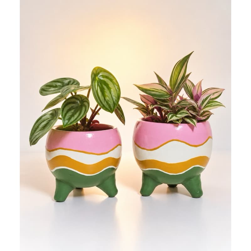 Kit de 2 vasos cachepô de cerâmica pintados à mão com plantas verdes