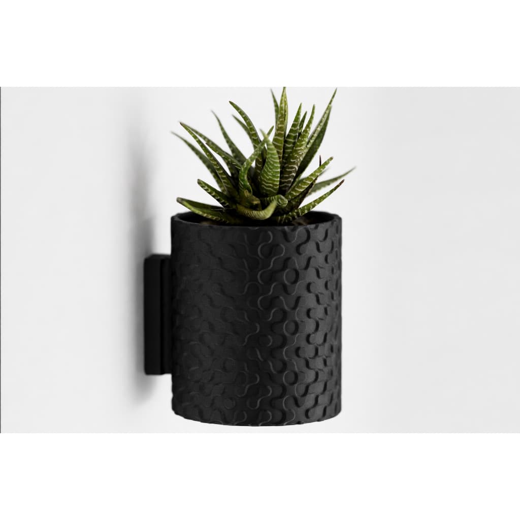 Vaso preto com suporte para parede com planta suculenta verde