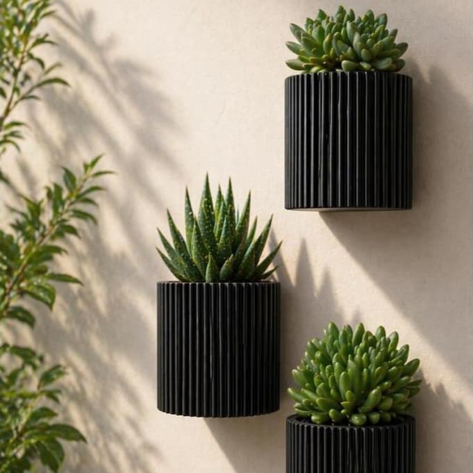 Três vasos suspensos de parede pretos com plantas suculentas verdes