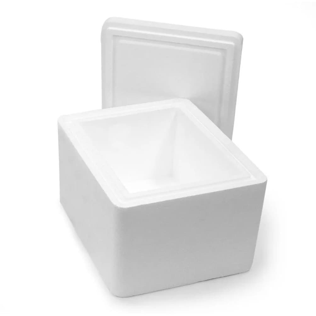 CAIXA TÉRMICA PAREDE DUPLA FEITA EM EPS ISOPOR 10 LITROS - SO CAIXA