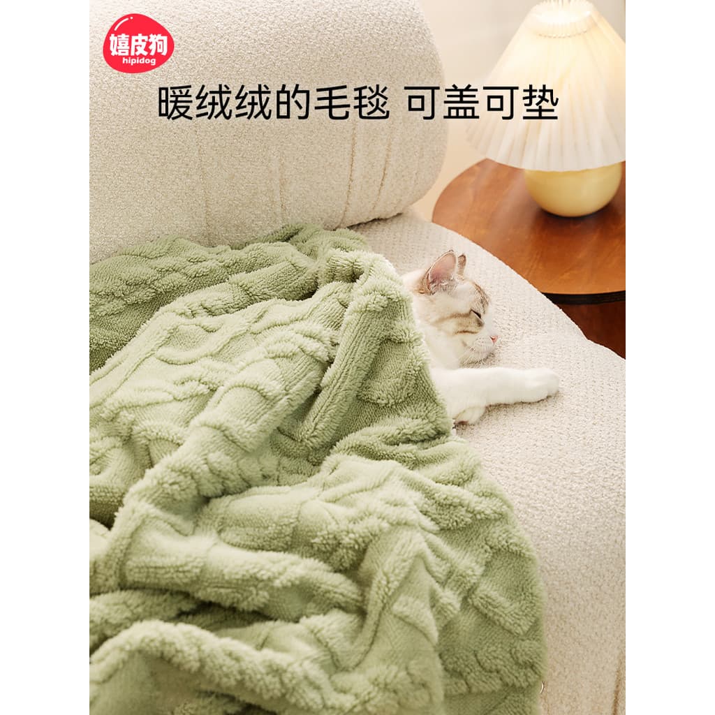 Cobertor de inverno para gatos verde claro com padrão de corda em sofá branco