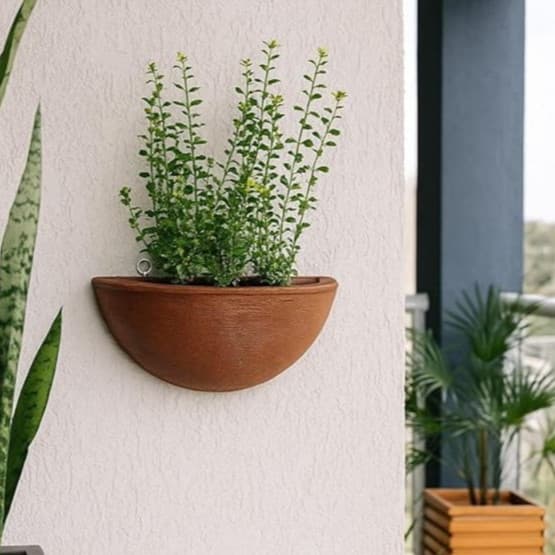 Vaso de Parede em Polietileno Meia-Lua com Planta Verde