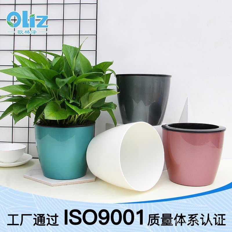 Vasos de plantas de plástico em diferentes cores com planta verde em vaso azul-esverdeado