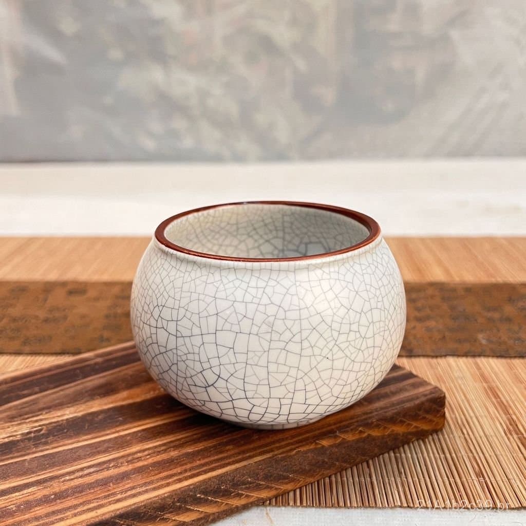 Vaso de cerâmica branco com acabamento craquelado para plantas hidropônicas