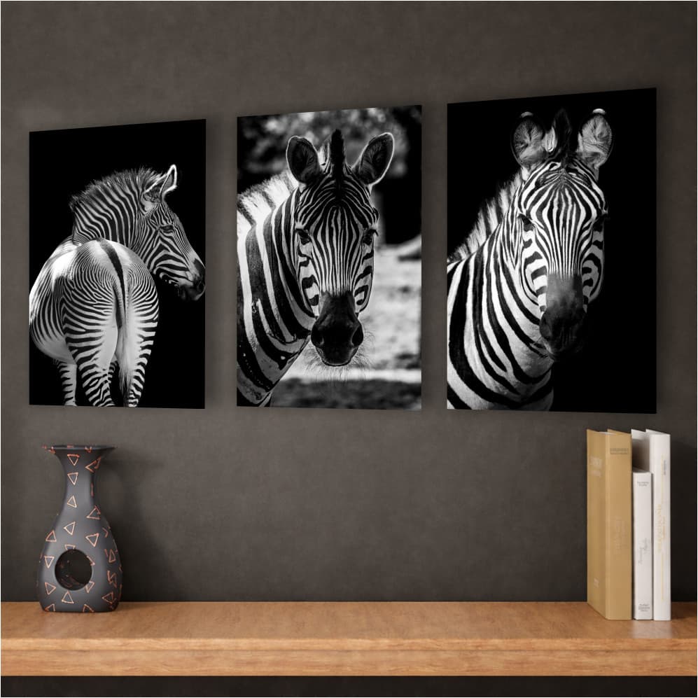 Kit de 3 quadros decorativos de zebras em preto e branco para sala ou quarto.