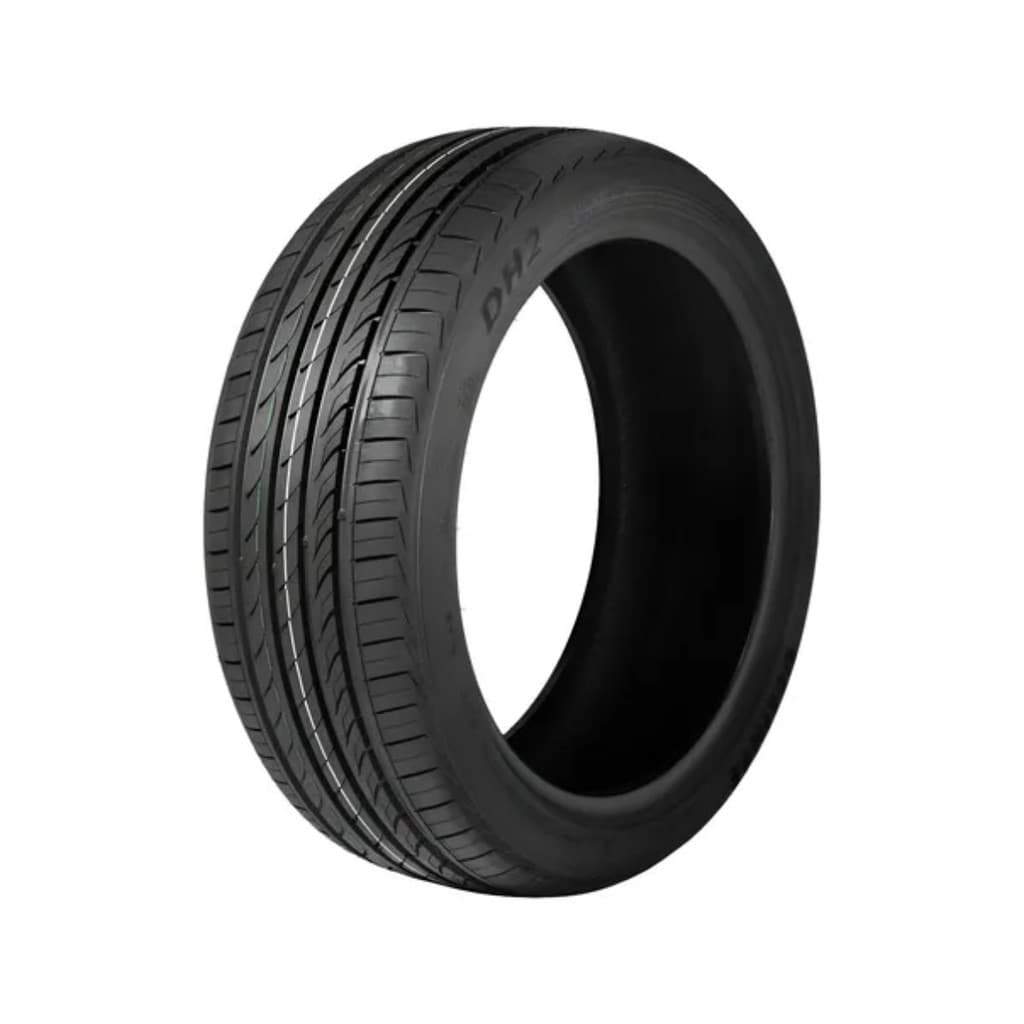 Pneu Delinte Aro 16 205/65 R16  95V DS2