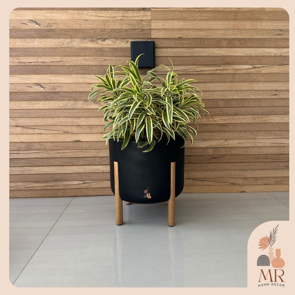 Vaso para planta Mônaco M cilíndrico preto com pés de madeira, com planta verde e amarela.