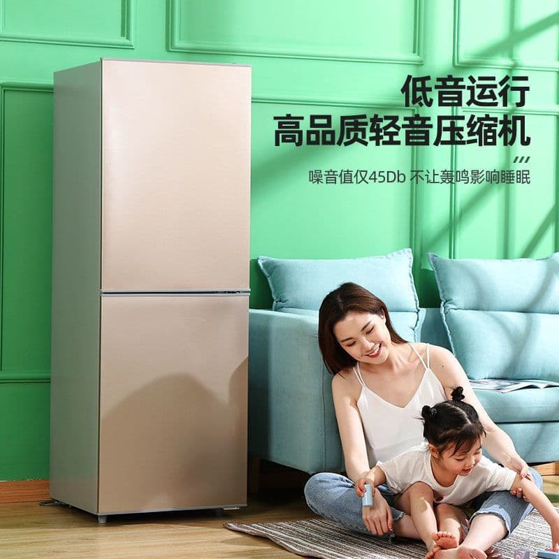 Casa Era Trendy Grande Geladeira Doméstica Pequena Economia de Energia Economia de Energia Porta Dupla Aluguel de Tamanh