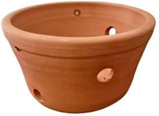 Vaso de barro circular marrom com furos para drenagem para orquídeas e suculentas