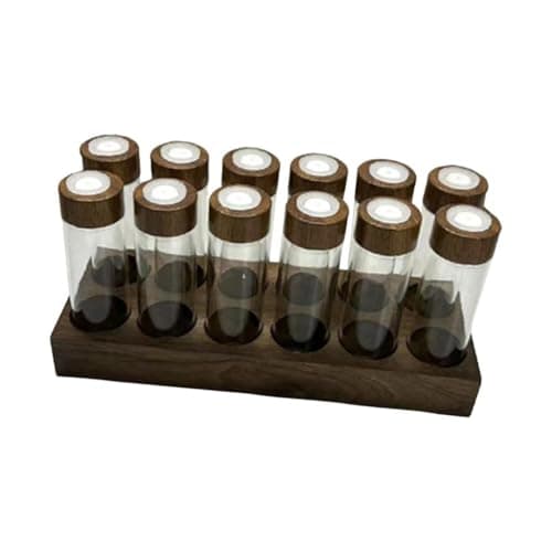 Conjunto de tubos de ensaio de grãos de café em suporte de madeira com tampas de vidro transparente e tampas de madeira escura
