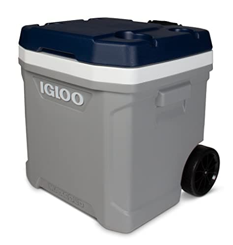 Igloo 00034696 Maxcold Latitude 62 Rolo, Cinza, Branco, Mar Egeu, Preto