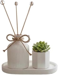 Conjunto Decorativo Minimalista em Gesso com Vaso Hexagonal e Suculenta