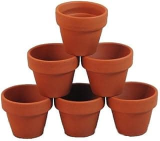 Conjunto de 10 minivasos de flores, vasos de plantas em miniatura de resina plástica, vasos decorativos de artesanato faça você mesmo para ambientes internos e externos, jardim, mesa de trabalho