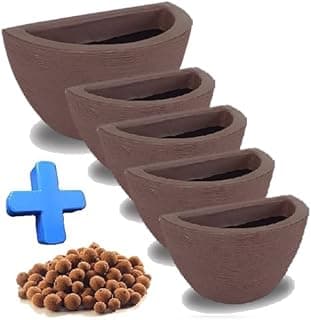Kit de 5 vasos de parede marrons decorativos para plantas com sementes incluídas