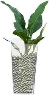 Vaso acrílico transparente grande com planta verde e bolas prateadas