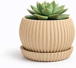 Vaso para suculenta em bege com textura ondulada, com planta suculenta verde