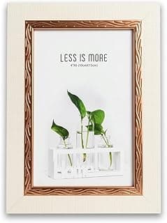 Porta-retrato branco com moldura dourada e texto 'LESS IS MORE' com plantas em vasos transparentes.