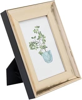 Porta-retrato Wolff Nobreza 13x18cm dourado com moldura preta e planta azul