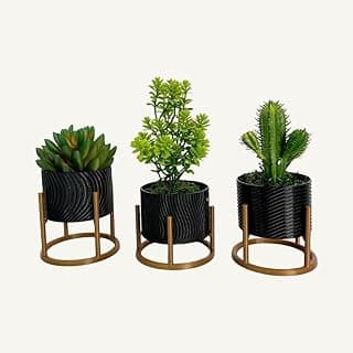 Kit 3 Vasos Decorativos Mesa Centro Sala Preto com Plantas Suculentas