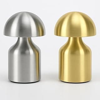 Luminária de Mesa LED Recarregável 3 Cores de Luz USB 1800mAh Dimmer Toque Design Metálico Acrílico Antiderrapante Portátil Bivolt (PRATA)