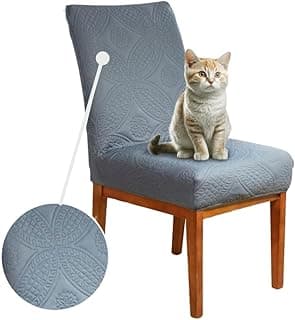 Cadeira de jantar com capa matelada azul, gato sentado na cadeira