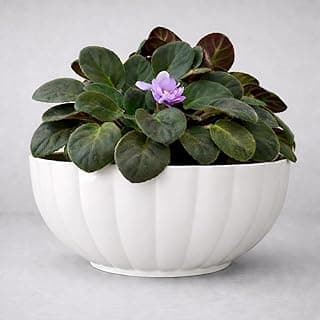 Vaso cachepot branco com planta verde e flor roxa