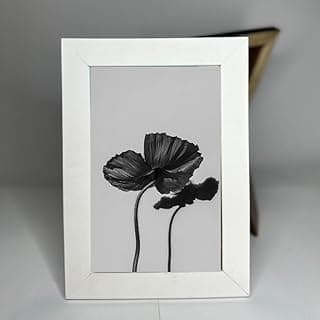 Moldura branca com vidro mostrando foto de flores de papoula em preto e branco