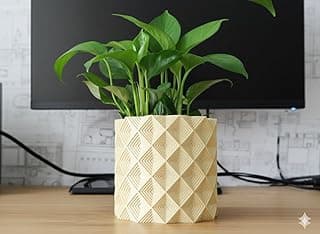 Vaso decorativo geométrico texturizado com planta, sobre mesa com monitor ao fundo