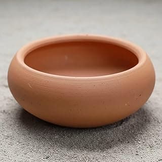 Bacia decorativa de cerâmica marrom claro, 12cm x 25cm, com furos de drenagem, para interiores