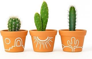 Kit de 3 vasos de barro estilo sertão para cactos e suculentas com desenhos brancos