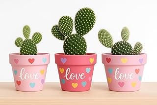 Trio de vasos de barro pintados à mão com plantas de cacto e corações coloridos