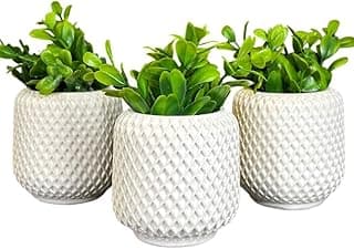 Vaso de Planta Artificial- Kit até 6 Unidades Sem ou Com Plantas Artificiais- Mesa, Estante, Rack, Nicho, Arranjo Artificial para Decoração de Sala Quarto Escritório(KIT 3 - VASINHOS COM PLANTA)