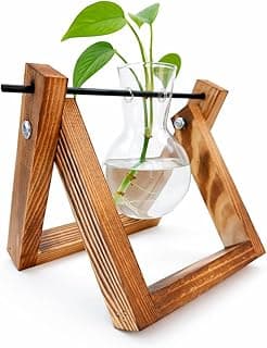 Vaso de vidro com planta em suporte de madeira triangular