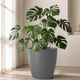 Vaso oval moderno em polietileno cinza com planta de folhas verdes