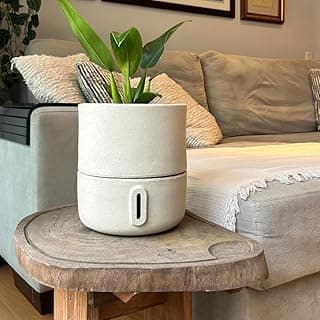 Vaso inteligente autoirrigável branco com planta verde em centro de mesa de madeira