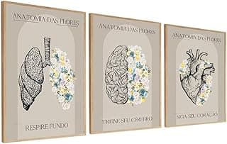 Quadros Decorativos Anatomia Das Flores Medicina com Molduras Bege 40x60 cm Sem Vidro