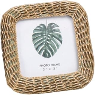 Moldura para fotos com borda trançada e desenho de folha tropical