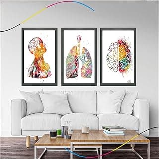 Quadros decorativos com anatomia humana em uma sala de estar