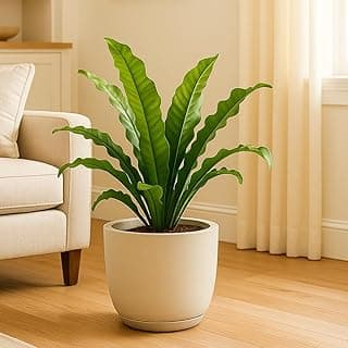 Vaso De Planta Decorativo Polietileno Jardim Bojo 30x33 (AREIA)