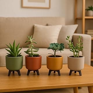 Kit de quatro vasos de cerâmica com plantas suculentas em cores verde, marrom, bege e amarelo